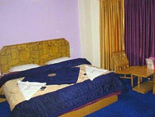 Jubilant Regency 2* Manali (Himachal Pradesh)